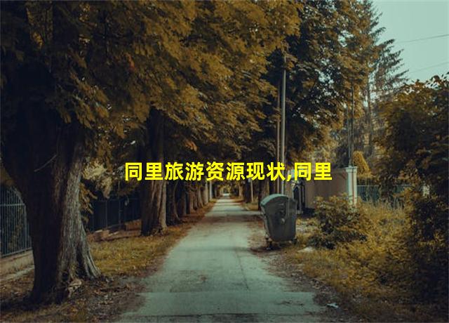 同里旅游资源现状,同里 旅游